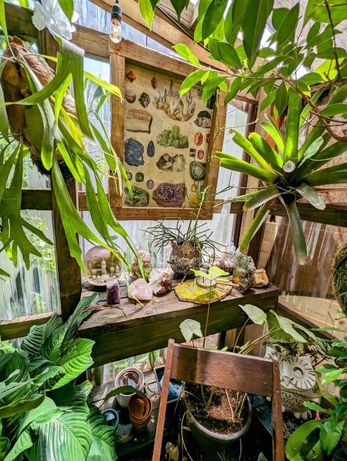 Cozy Af Tiny-House Oasis Villa Tampa Exterior photo